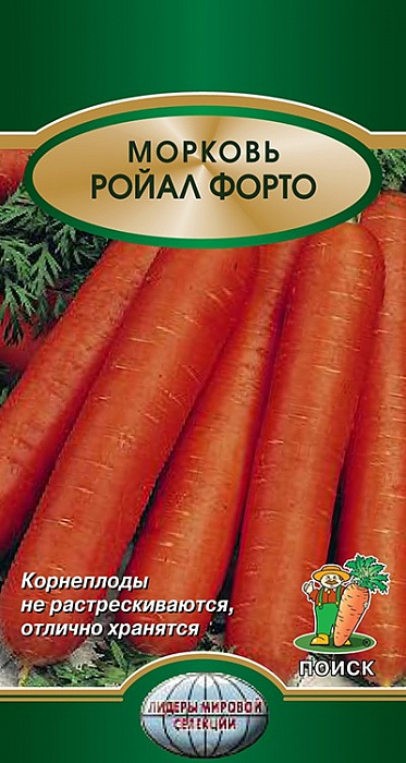 Морковь Ройал Форто фото Морковь Ройал Форто 